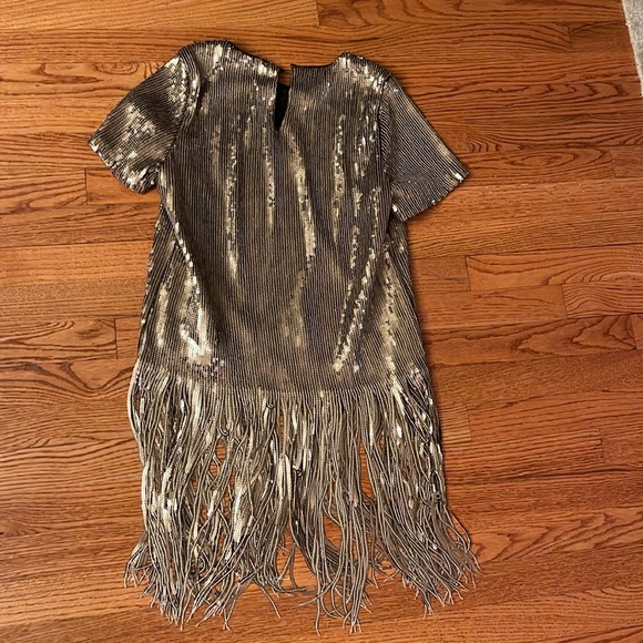 Vici Metallic Fringe Short Sleeve Top in Silver - Picture 2 of 7